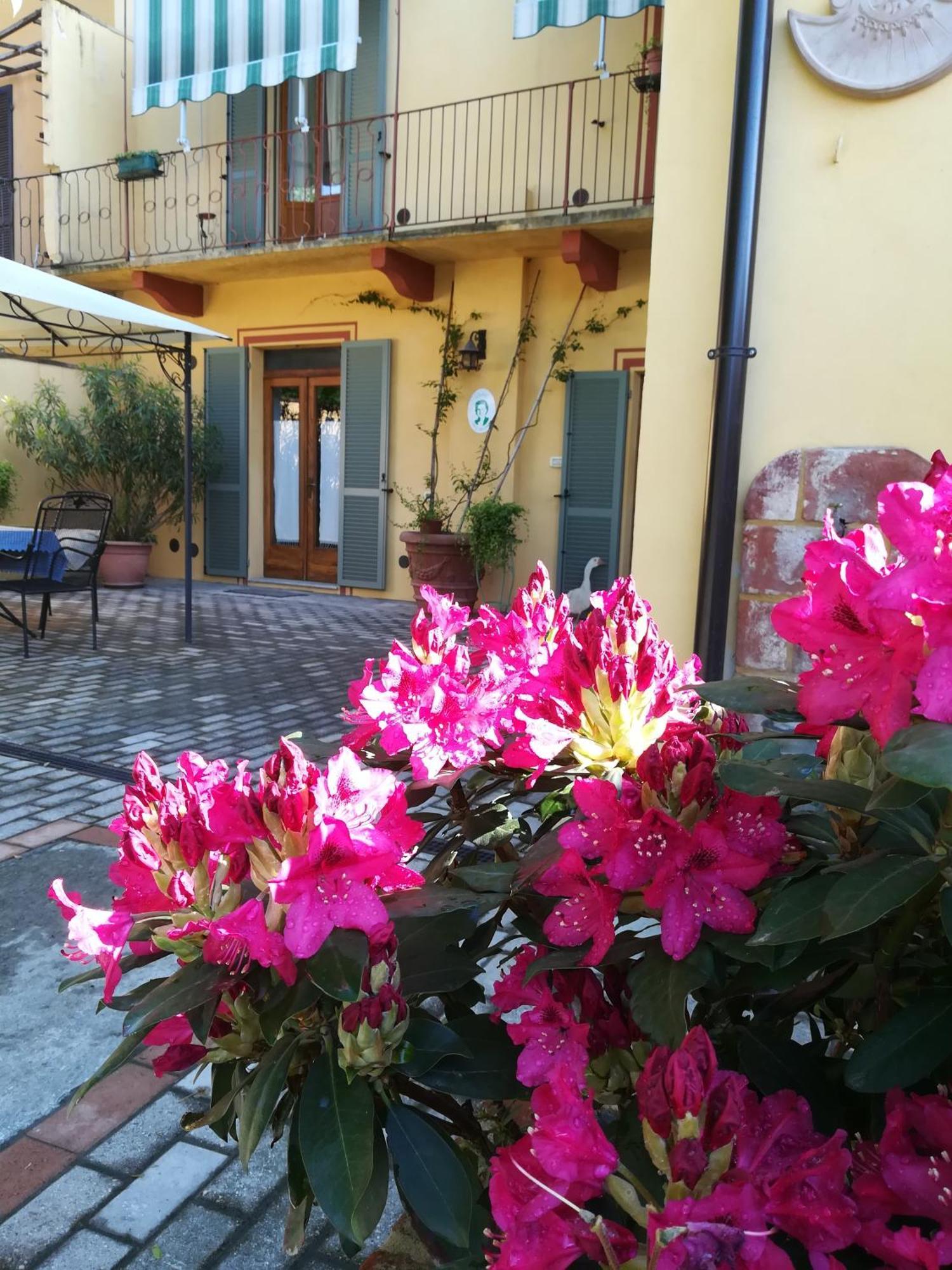 L'Adele Bed & Breakfast Occimiano Exterior photo