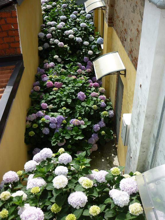 L'Adele Bed & Breakfast Occimiano Exterior photo